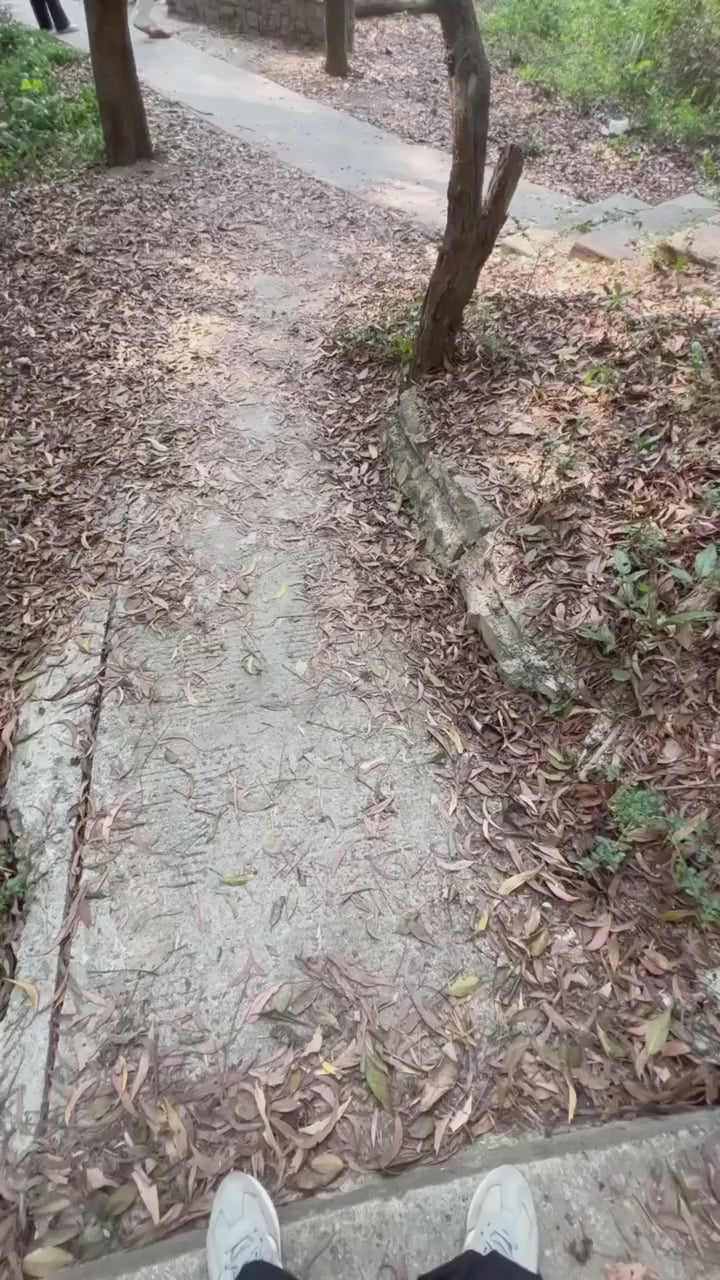 ShinePro Portable Leaves Blower